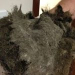 dirty furnace blower motor